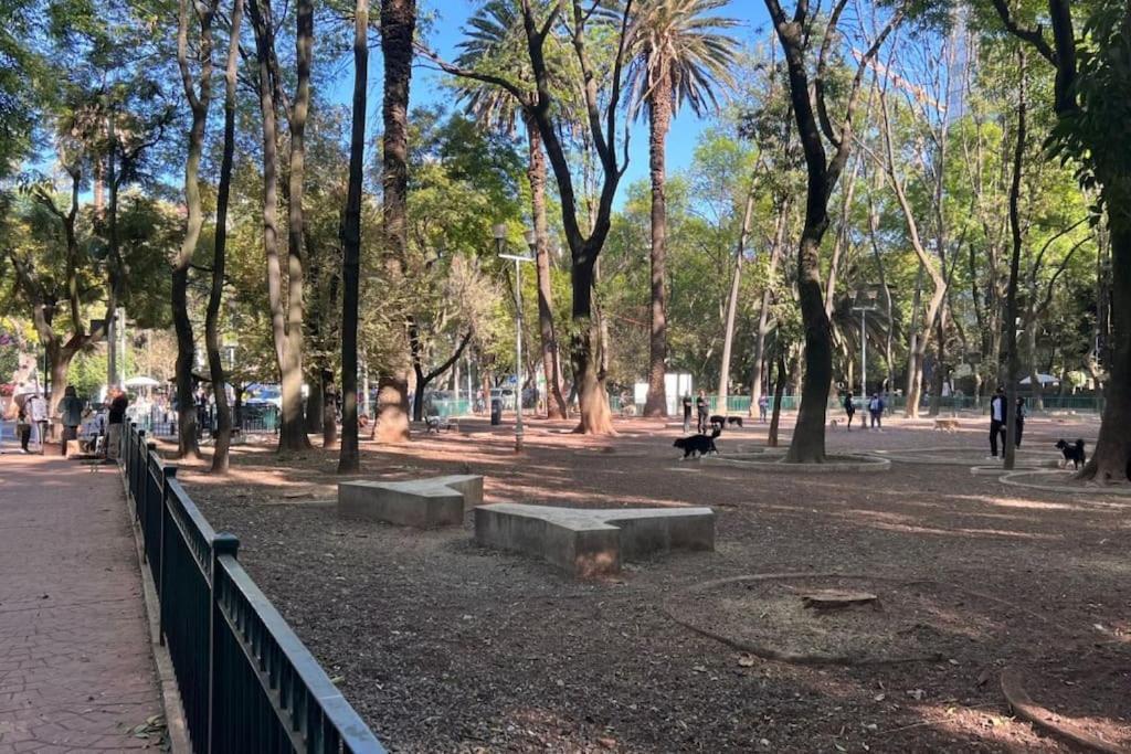 Condesa Amsterdam D Sunny 2bed 1bath In Condesa *