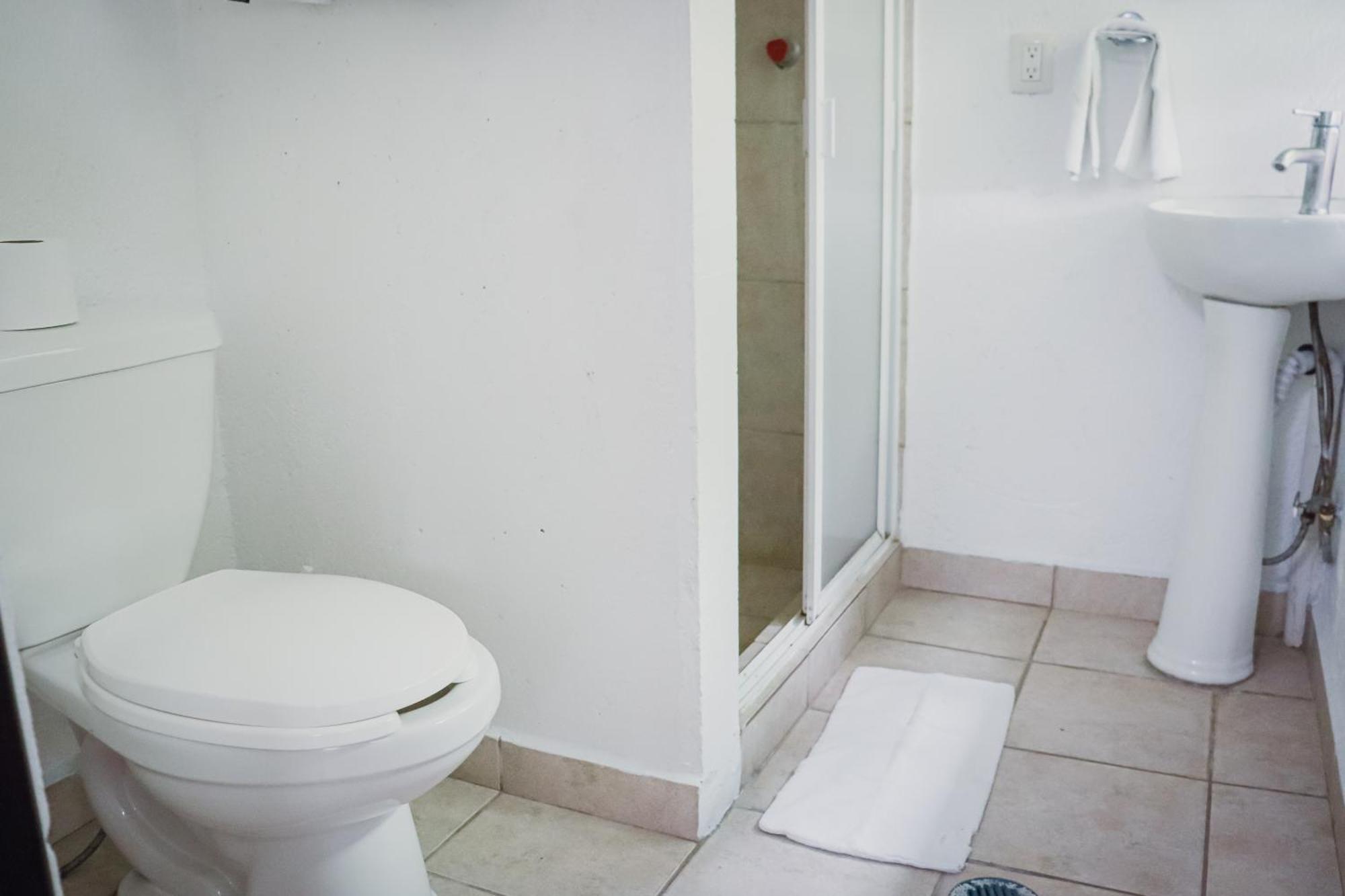 Hostal Cuija Coyoacan Berlin 268 Coyoacan
