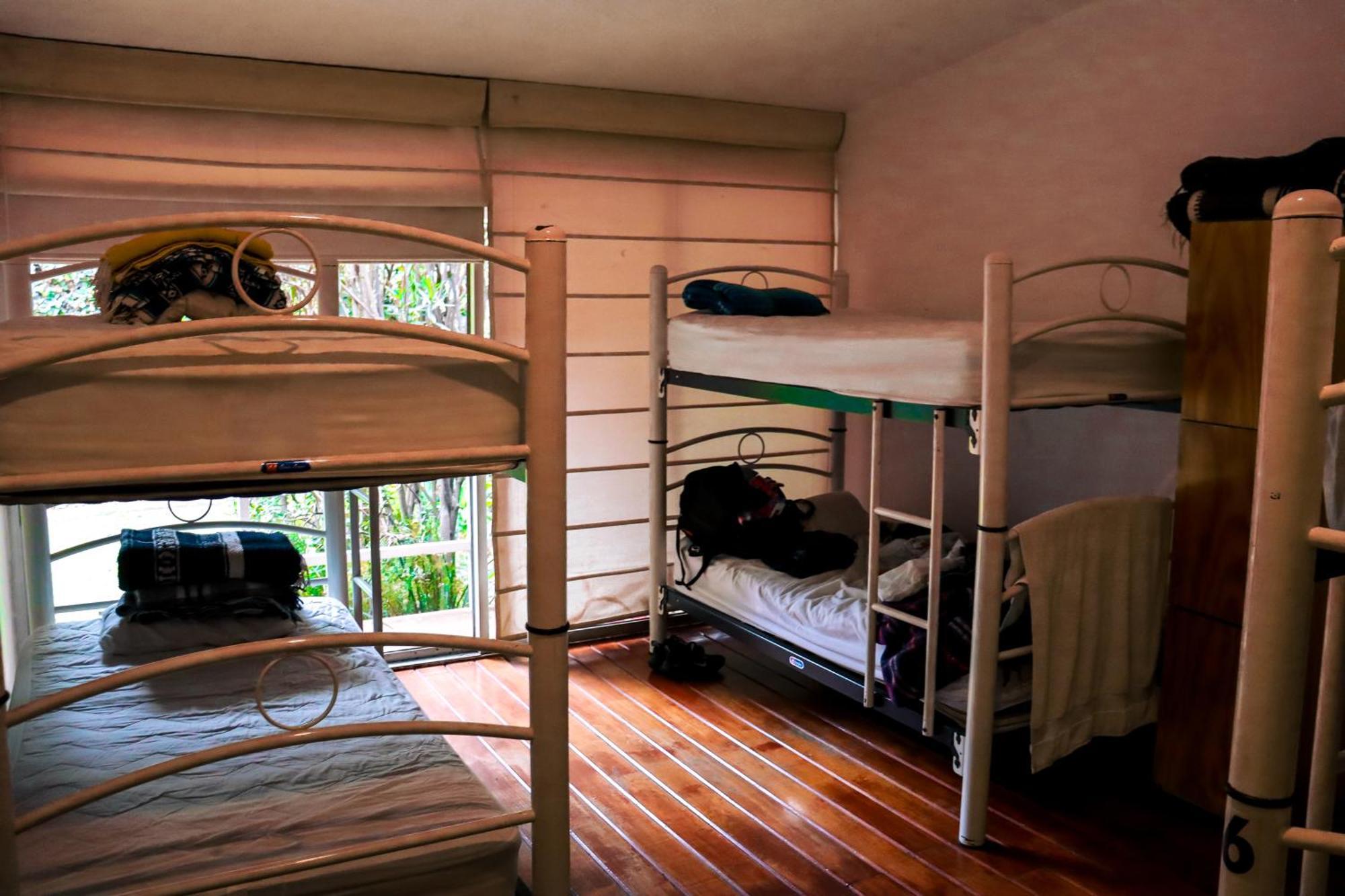Guest house Hostal Cuija Coyoacan Berlin 268 Coyoacan
