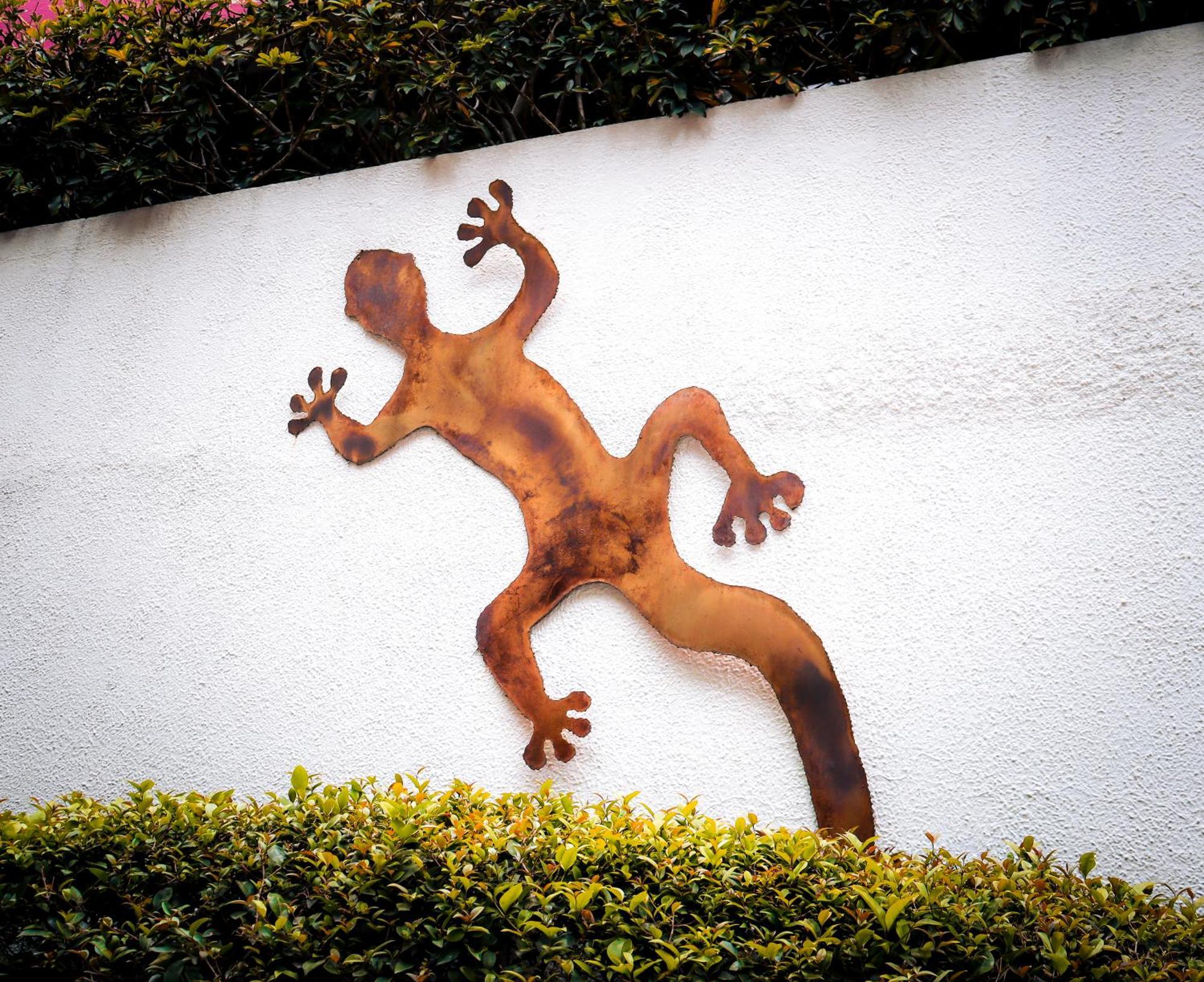 Hostal Cuija Coyoacan Berlin 268 Coyoacan 2*