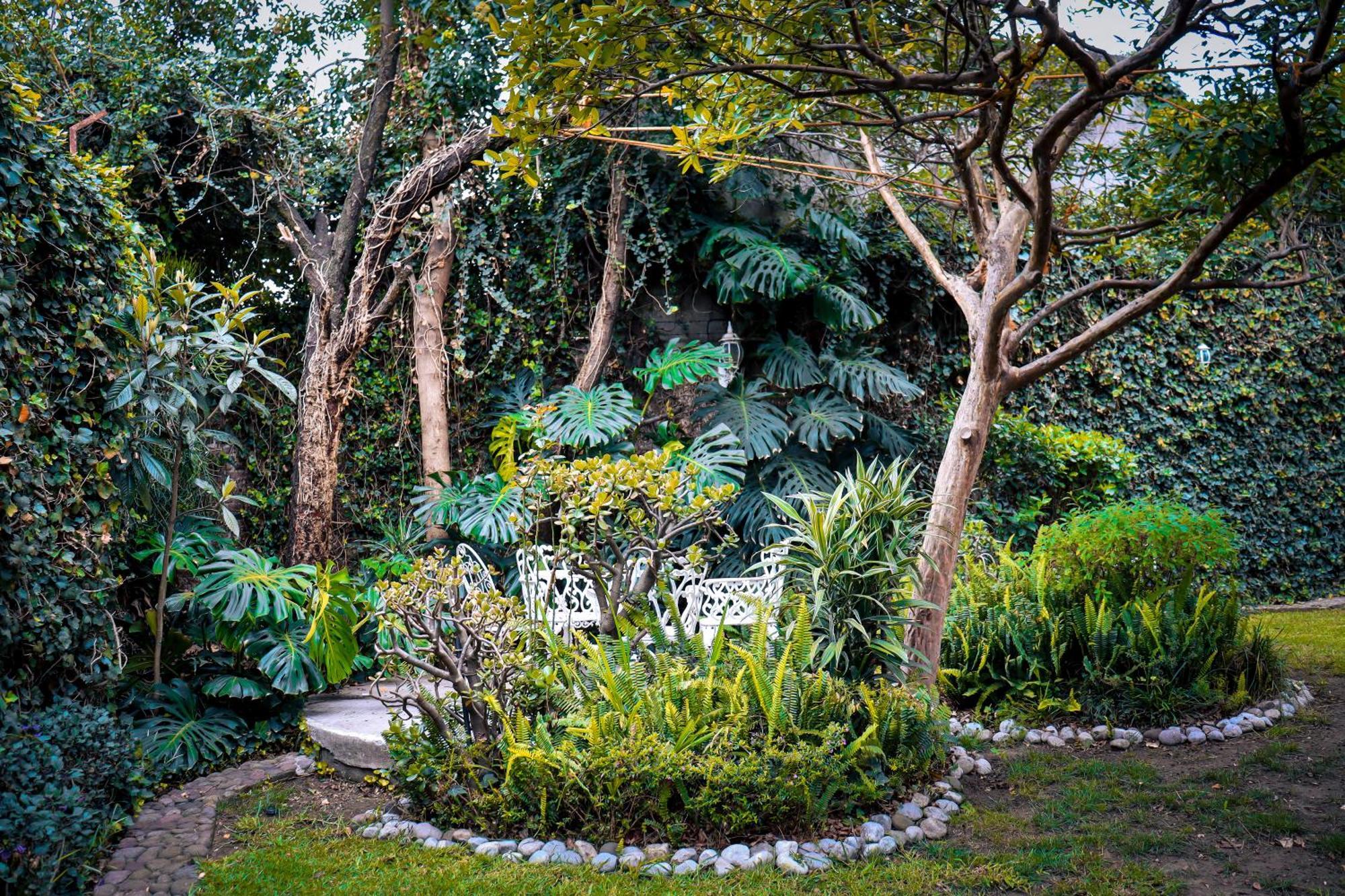 Guest house Hostal Cuija Coyoacan Berlin 268 Coyoacan 2*