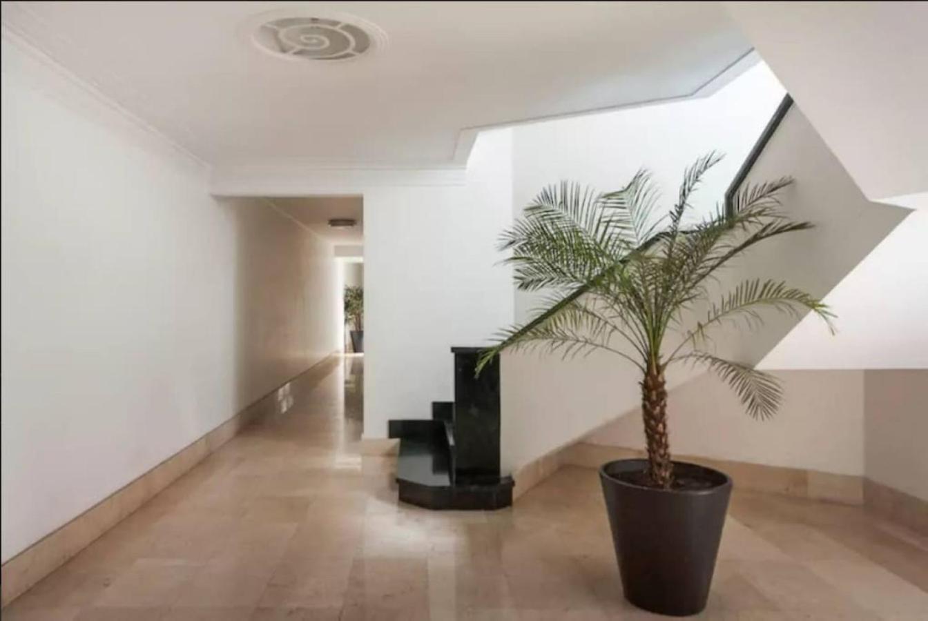 Apartamento Condesa Campeche 5 Modern 2br 1ba Emphasizing Open Airy Spaces In Campeche