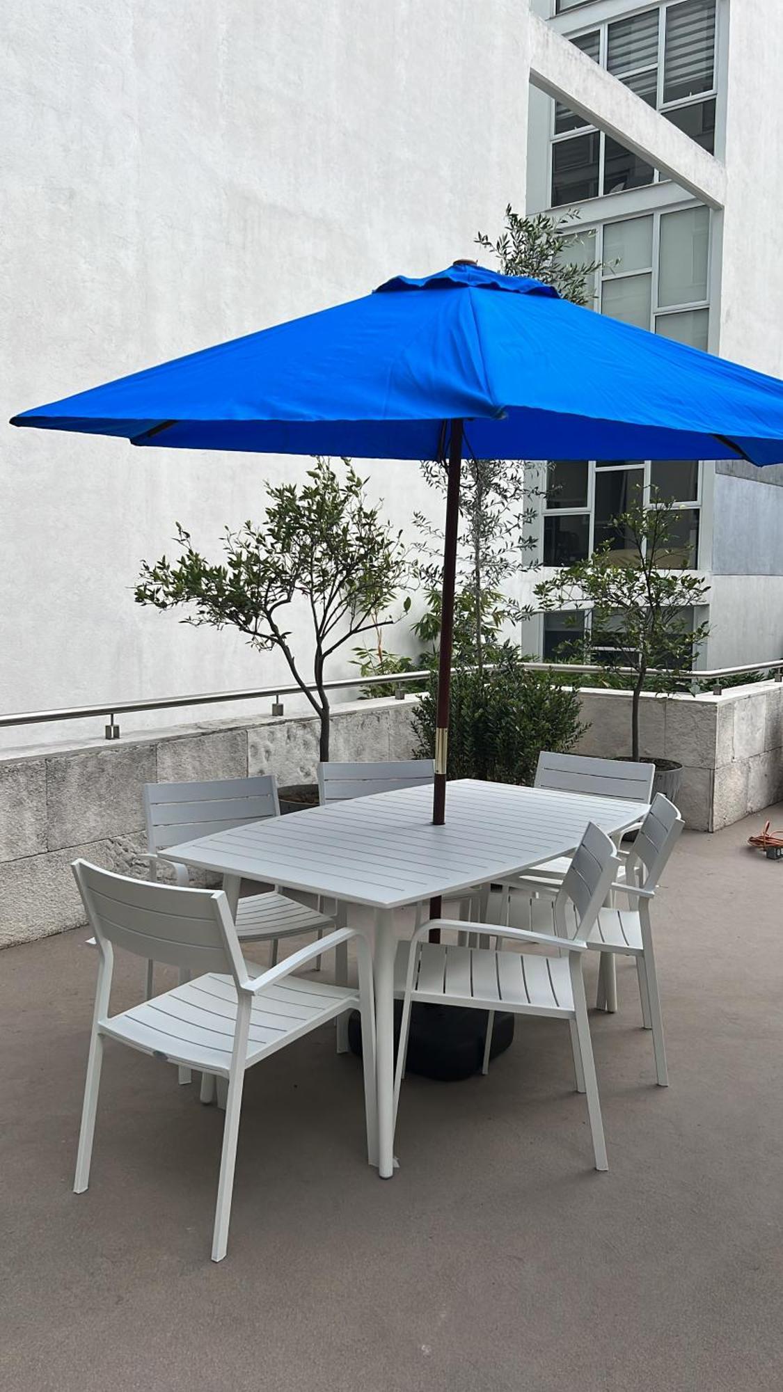 Condesa Amsterdam D Sunny 2bed 1bath In Condesa