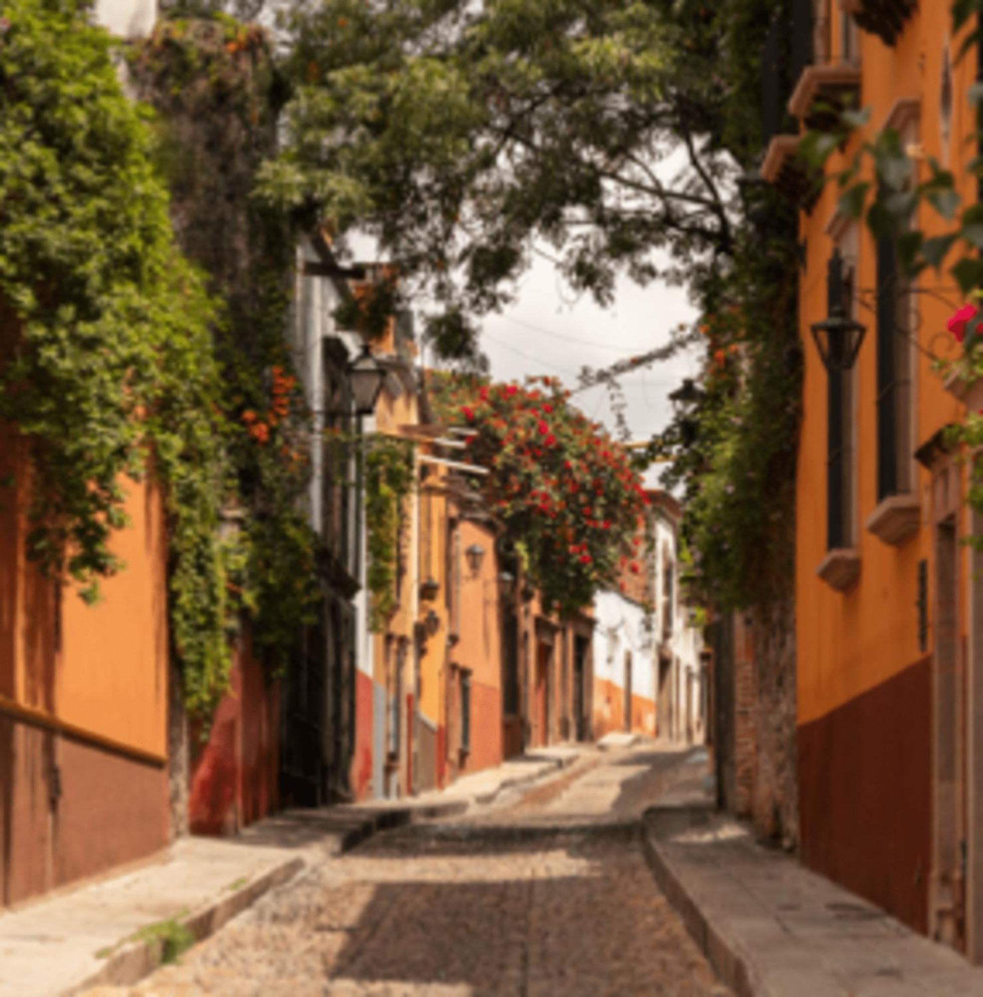 Hostal Cuija Coyoacan Berlin 268 Coyoacan Guest house