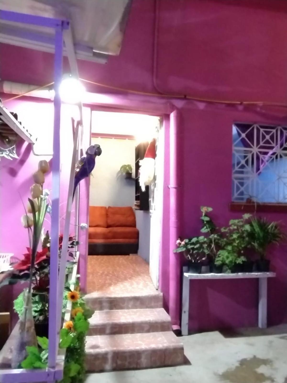 Guest house Alo *