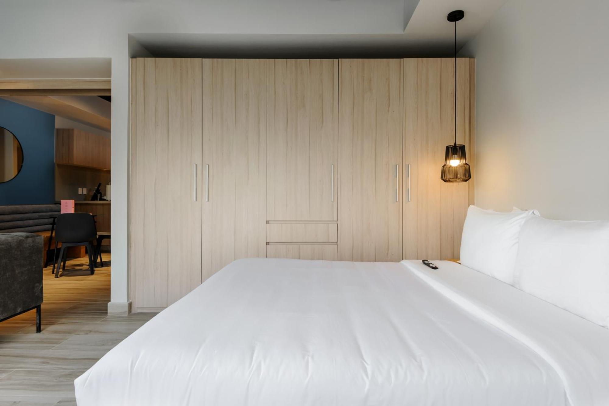 Aparthotel Darwin 74 By Wynwood House Mexico City