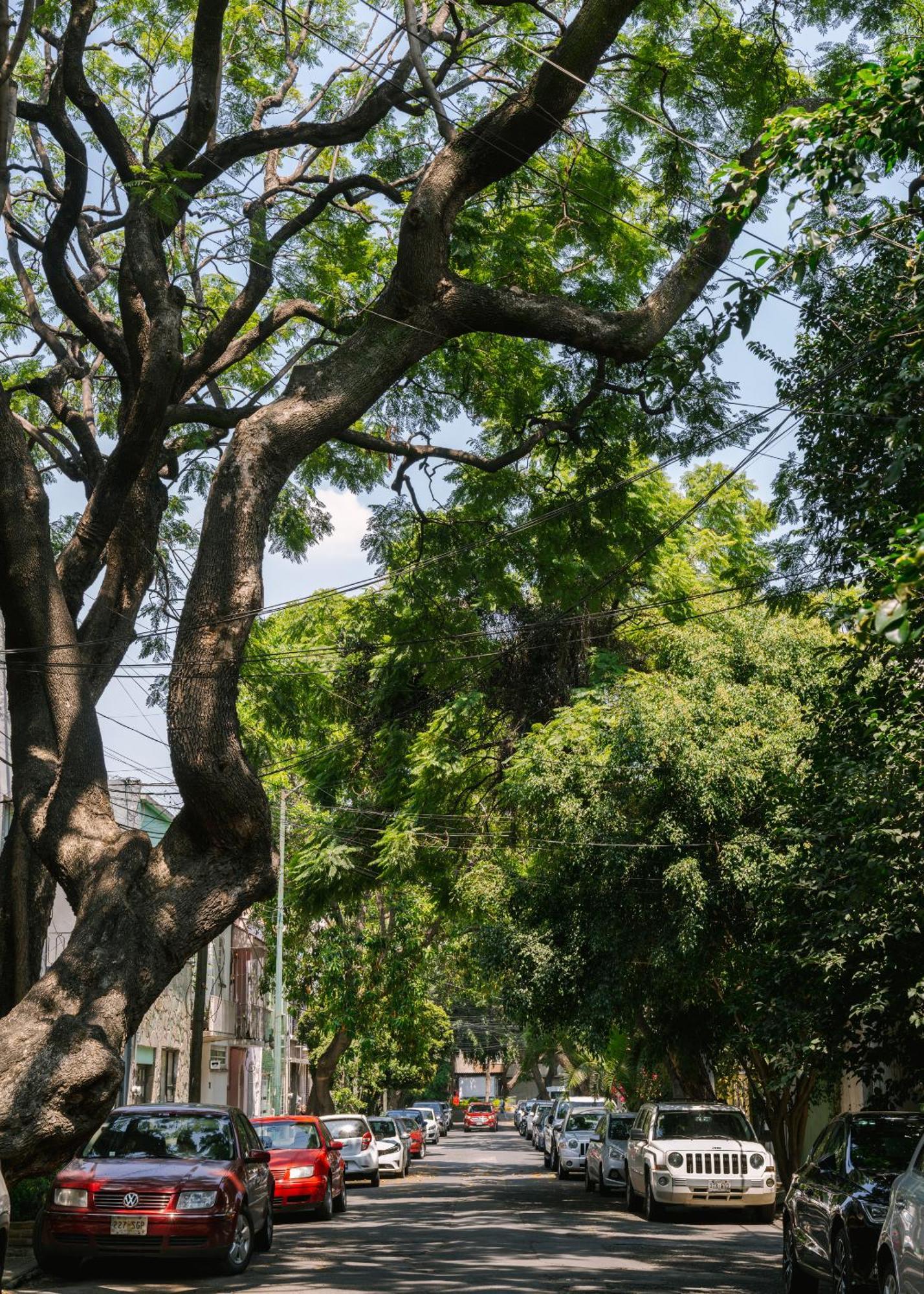Sonder Miravalle