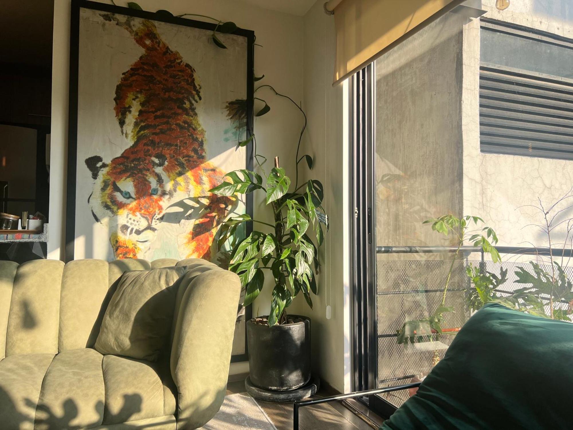 Apartamento Art & Design Cdmx México DF