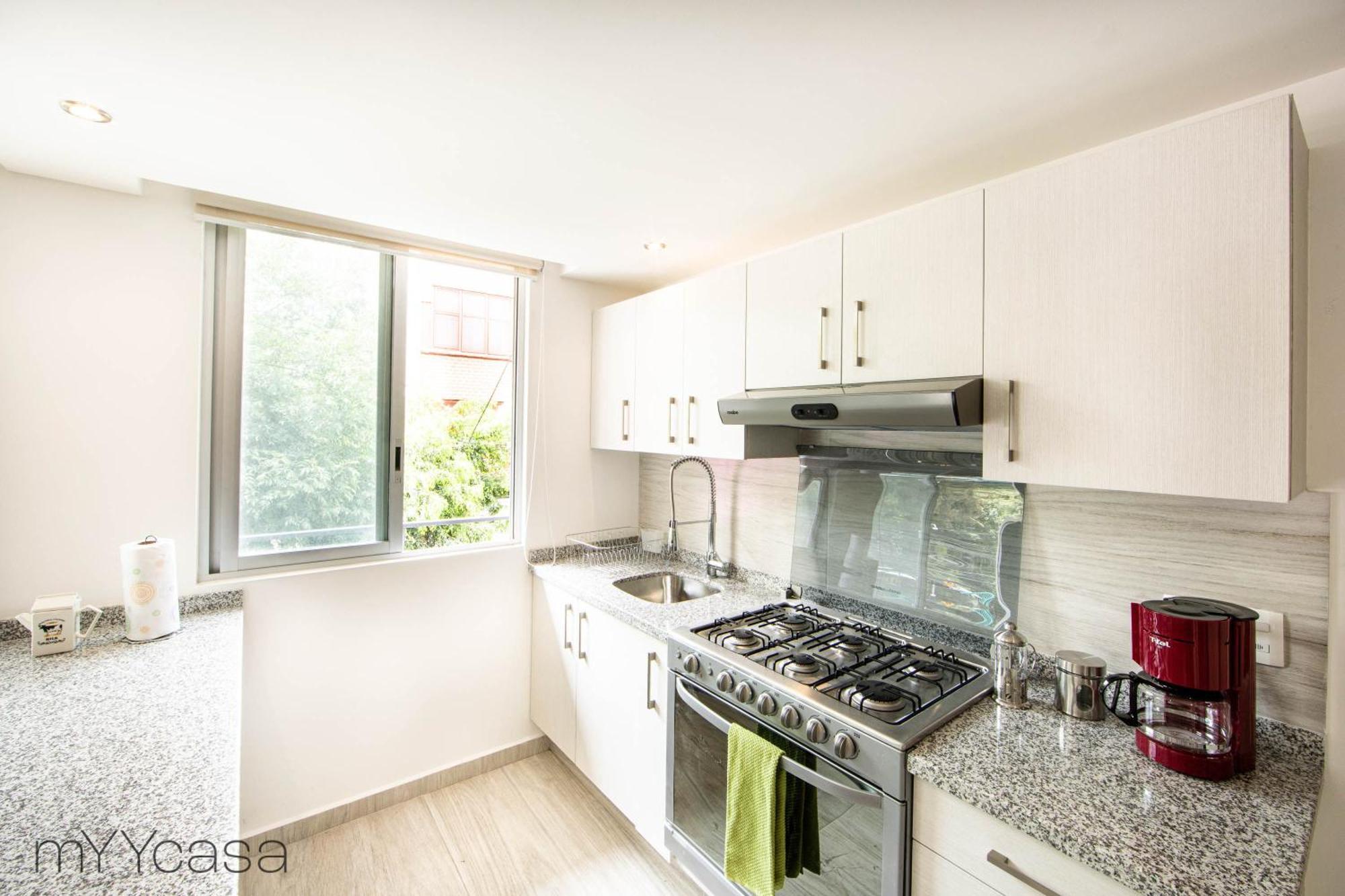 Bright Stylish Near Polanco
