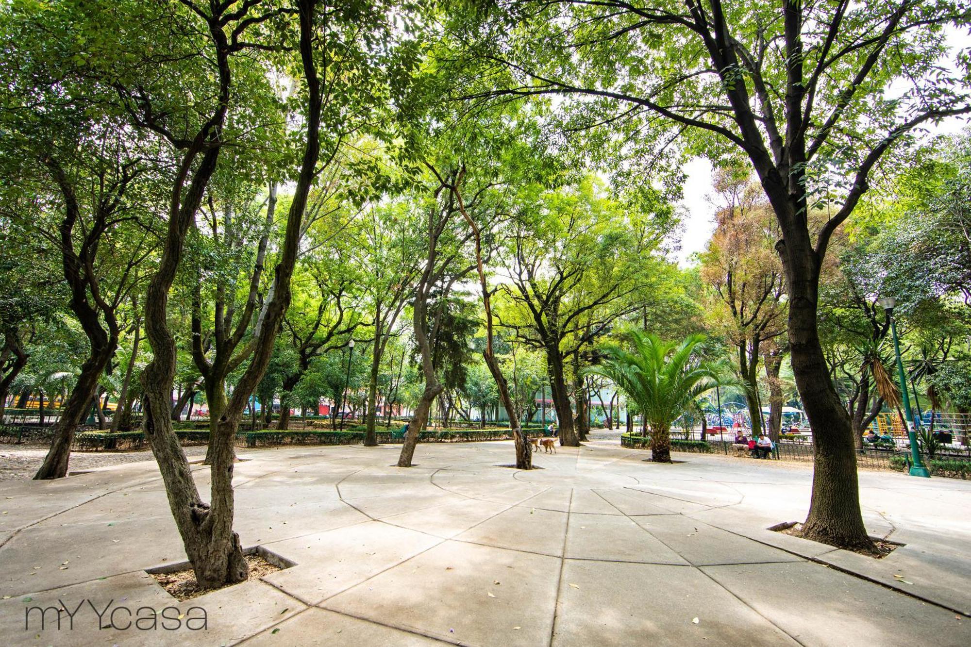 Apartment Nadal 202 - Brand New Park Front Terrace Mexico City