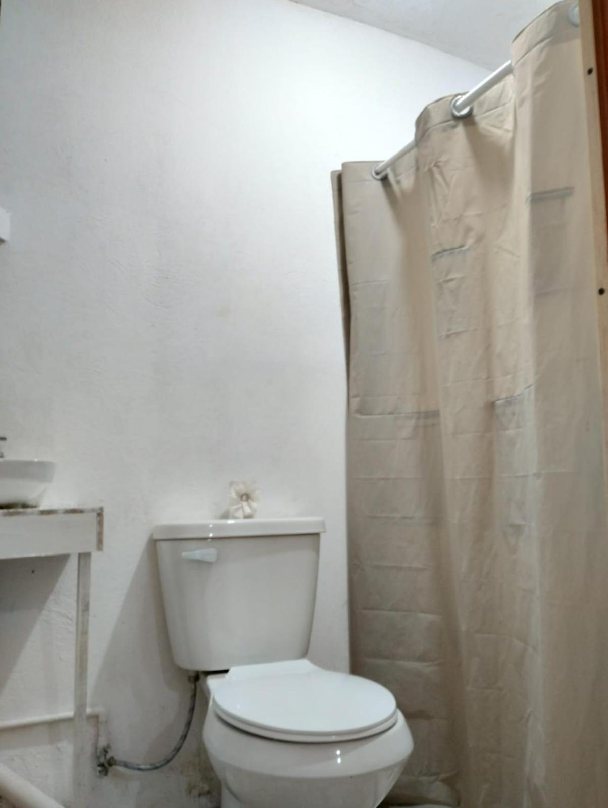 Habitación en casa particular Casita Del árbol *