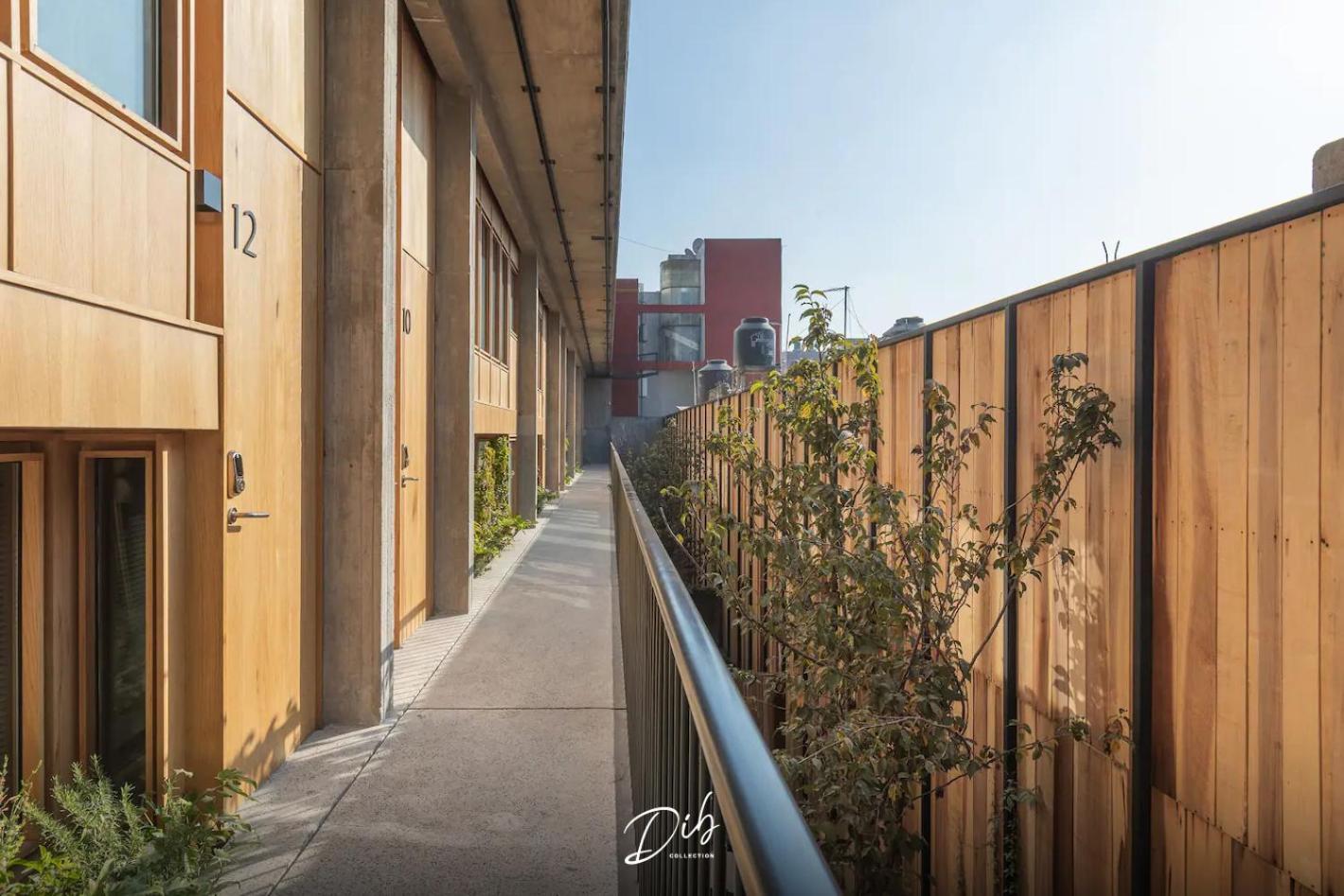 Dib Collection Apartment Mexico City