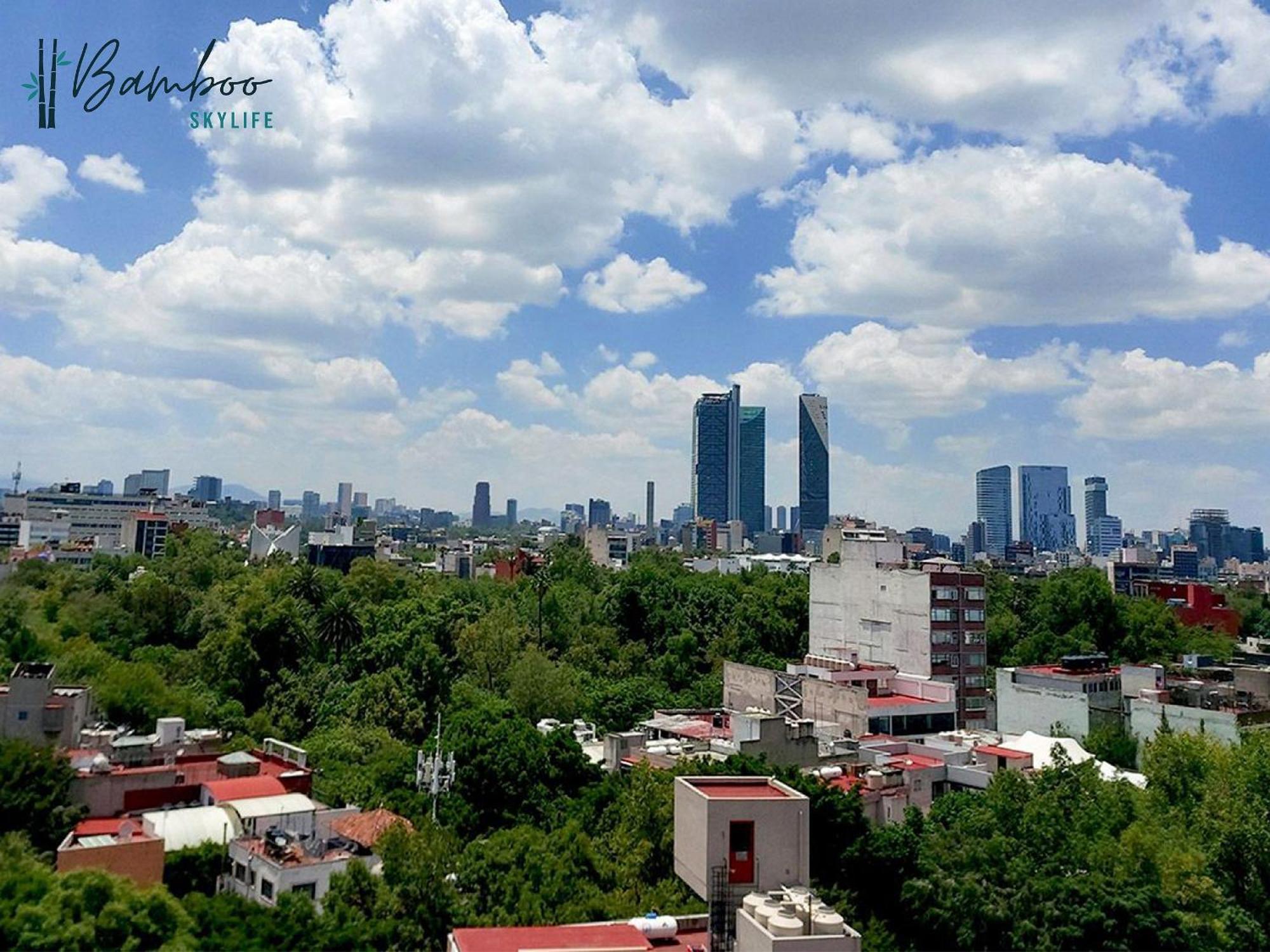 Apartamento Amazing Views Condesa Roma By Bamboo Skylife *