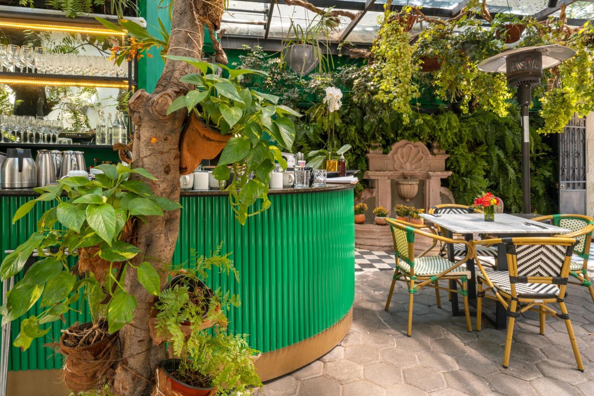 Orchid House Polanco 5*
