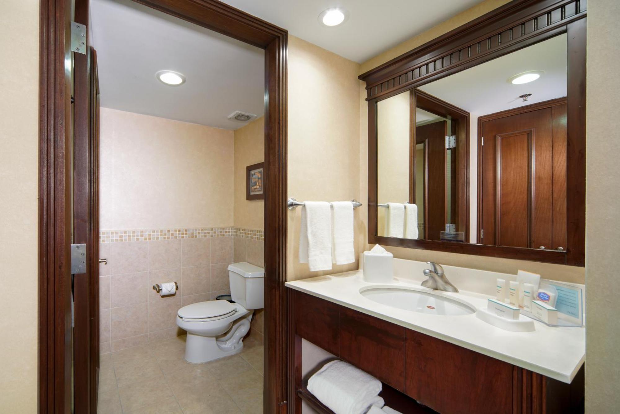 Hotel Hampton Inn&suites Mexico - Centro Historico