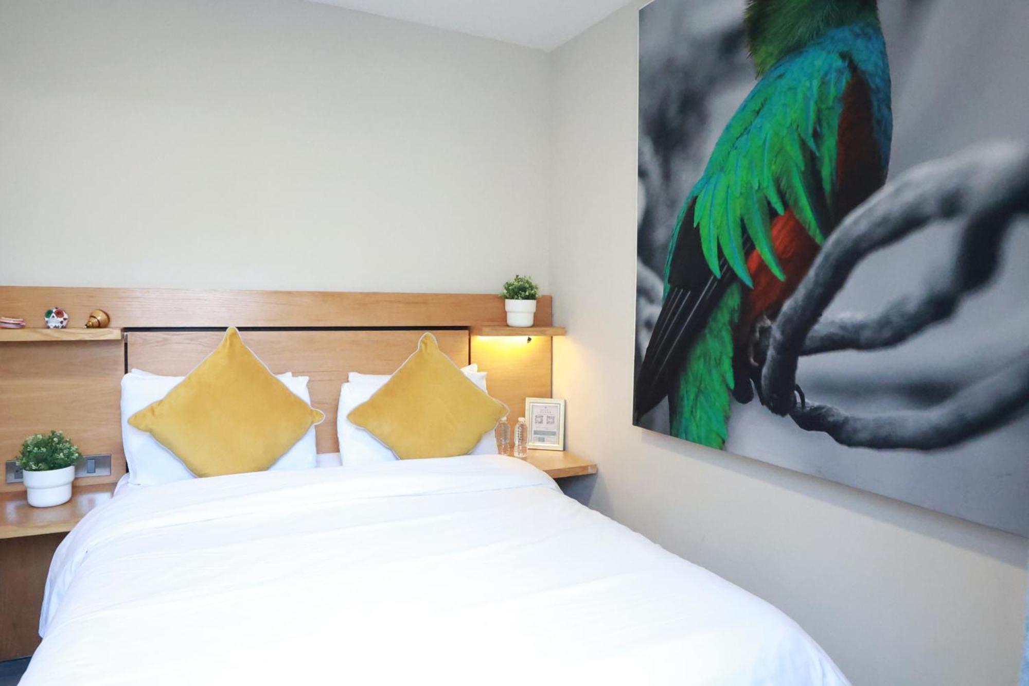 Bed & Breakfast Casa Panuco Mexico City