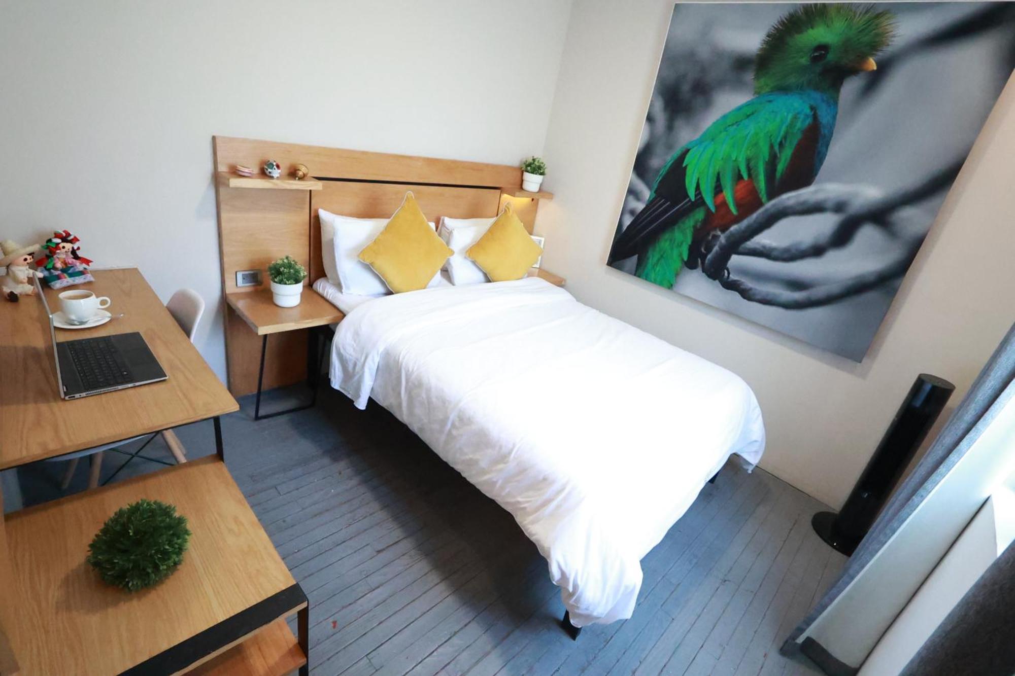 Bed & Breakfast Casa Panuco Mexico City