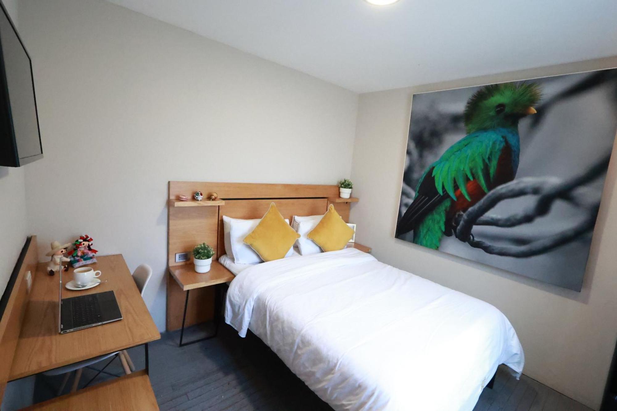 Casa Panuco Bed & Breakfast Mexico City