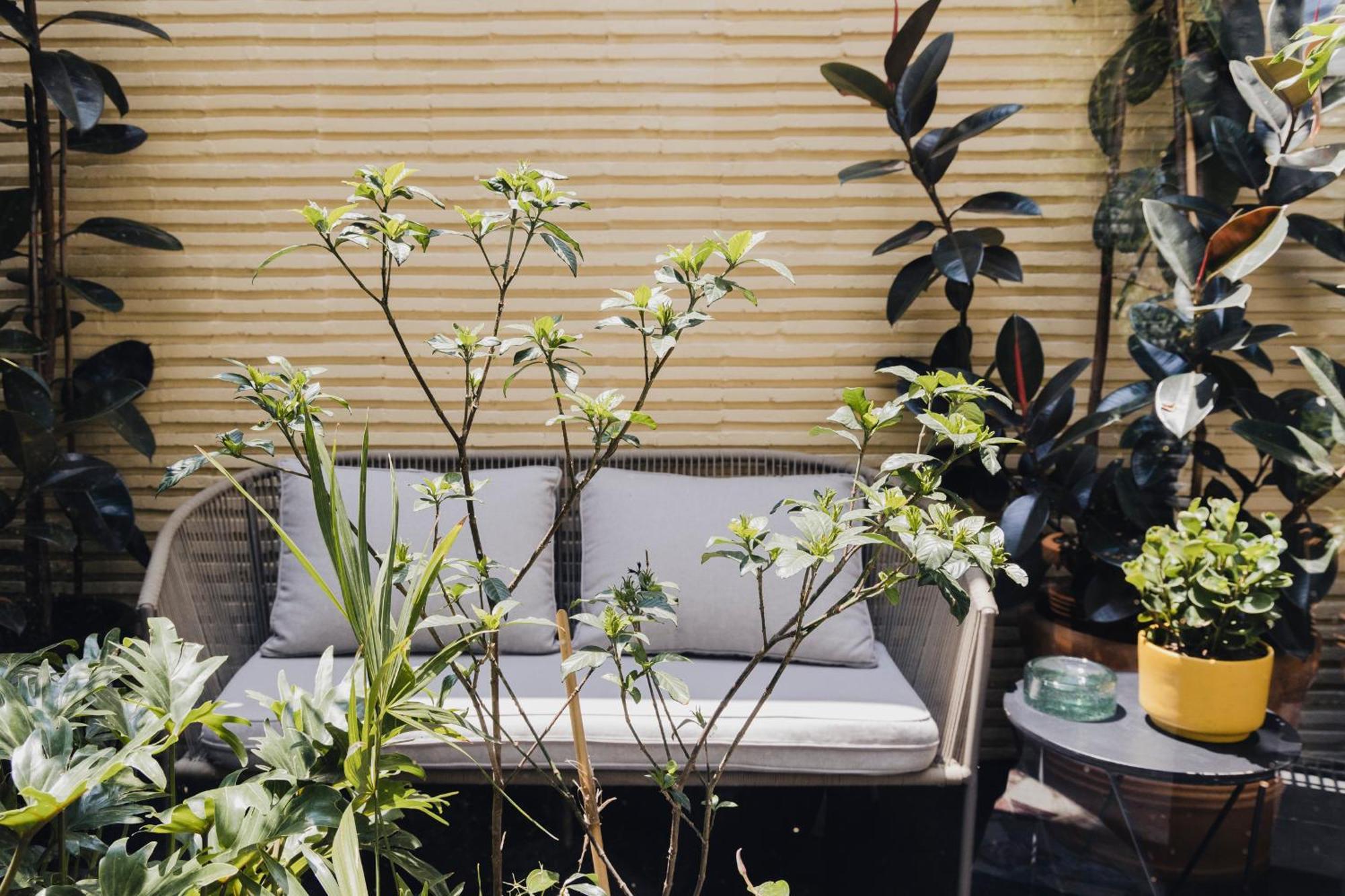 Casa Pani Hotel Mexico City