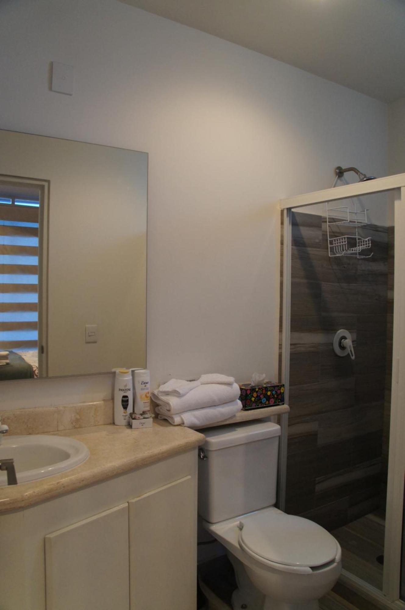 Lujoso Penthouse En La Roma México DF