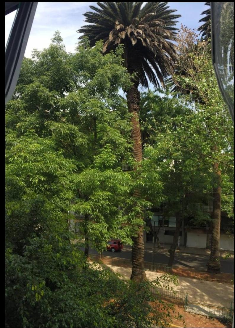 Condesa Caribe Vintage * Mexico City