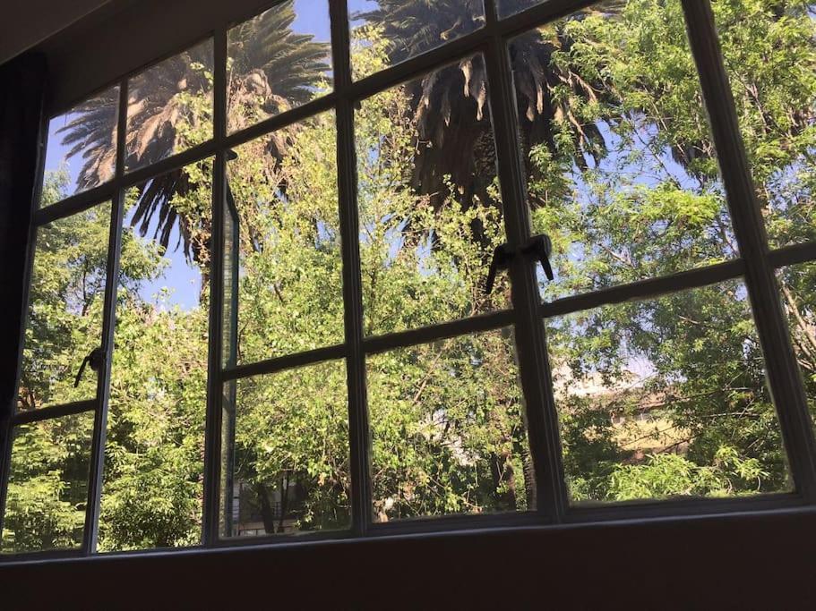 Condesa Caribe Vintage Apartment