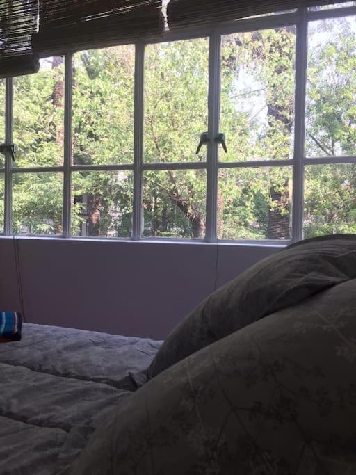 Condesa Caribe Vintage Apartment *