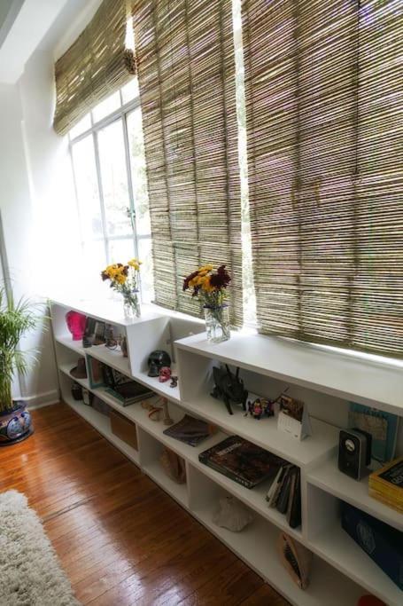 Condesa Caribe Vintage Apartment