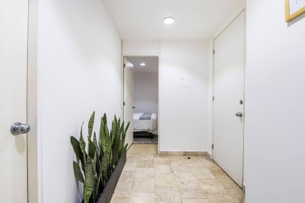 Apartamento Loft Donceles 6 Cdmx! *