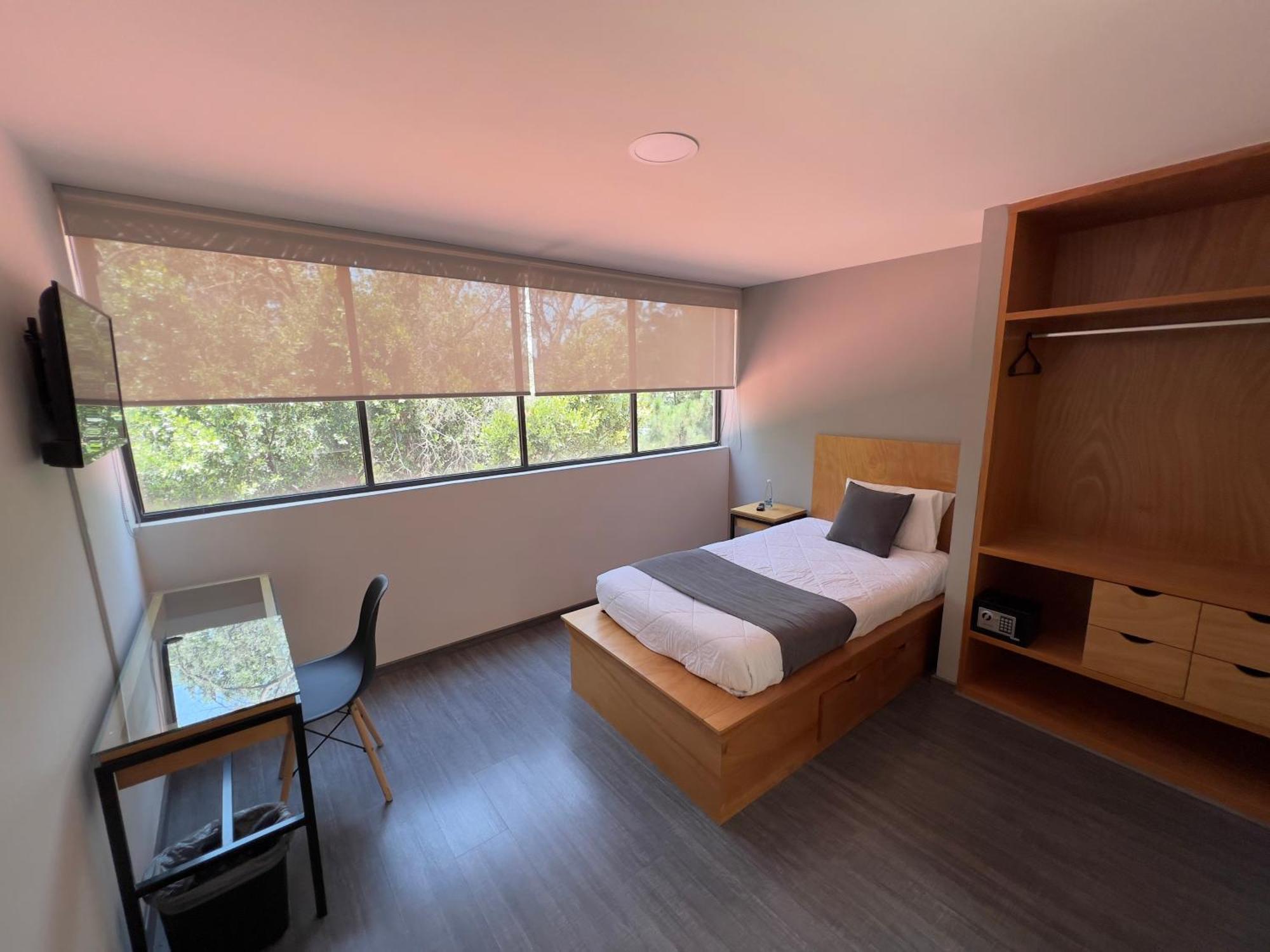 Bonsai Aguilas Homestay Mexico City
