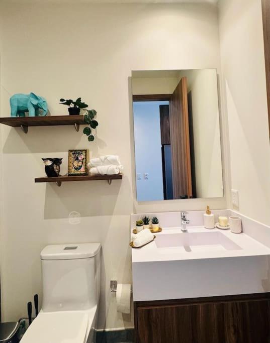 Apartamento Luxury Loft In Reforma