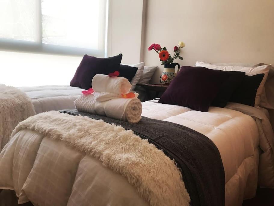 Apartment Cerca De Hospital Infantil Wtc Centrico Y Seguro!