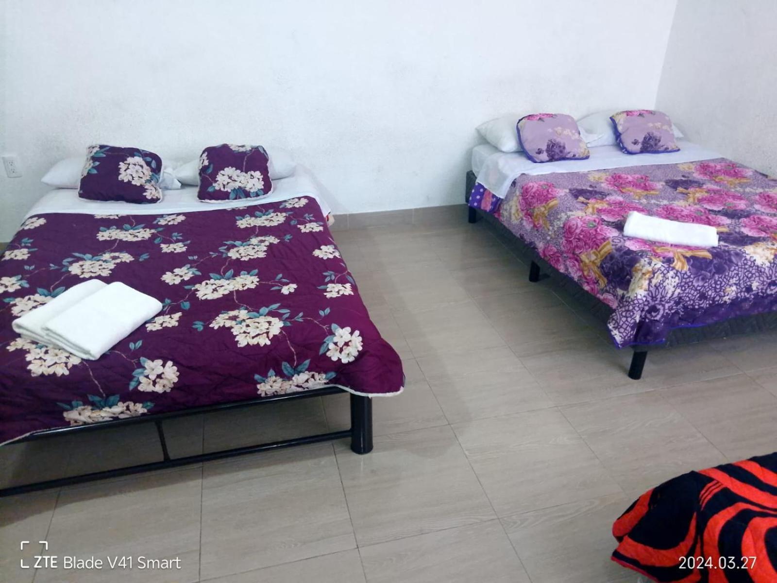 Gama Homestay Mexico City