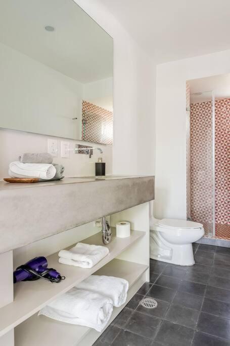 Lovely Loft Coyoacan Apartment Mexico City