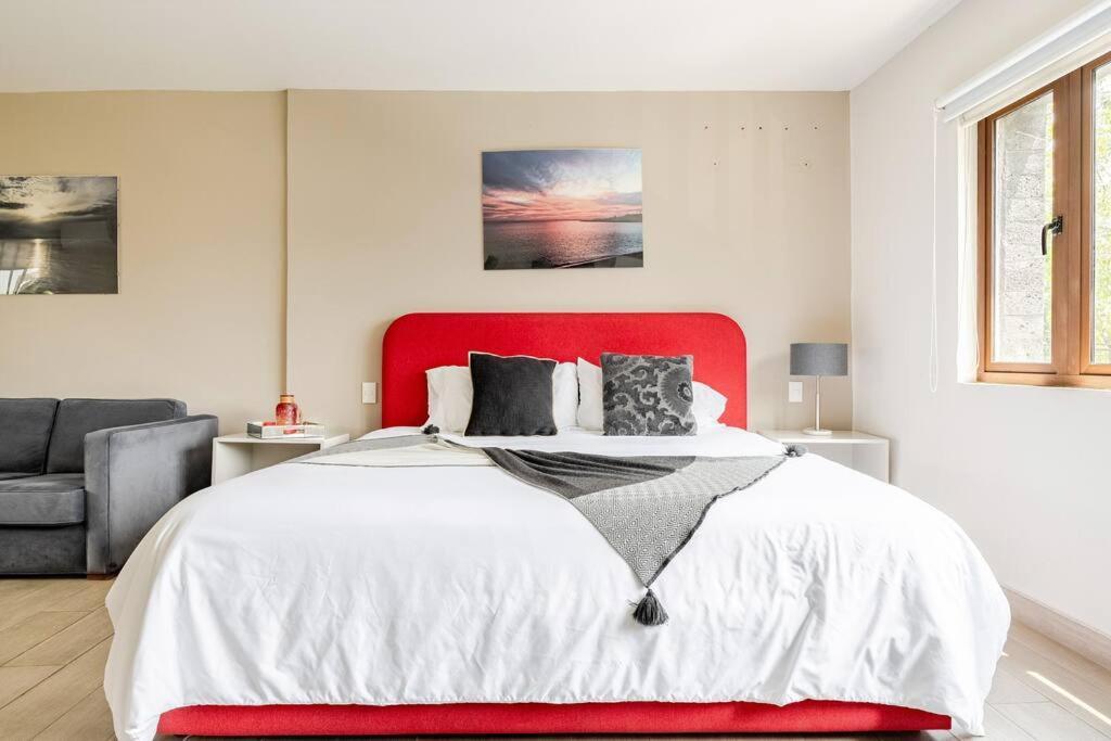 Lovely Loft Coyoacan Apartment Mexico City