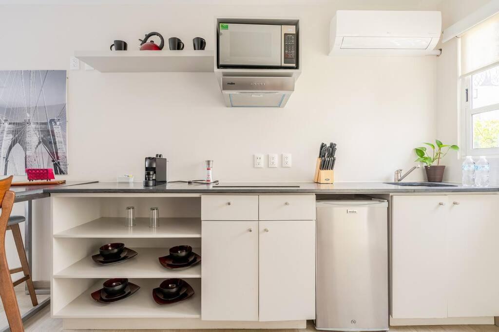 Lovely Loft Coyoacan Apartment