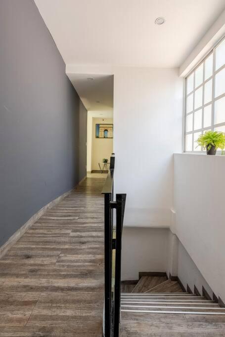 Lovely Loft Coyoacan Apartment