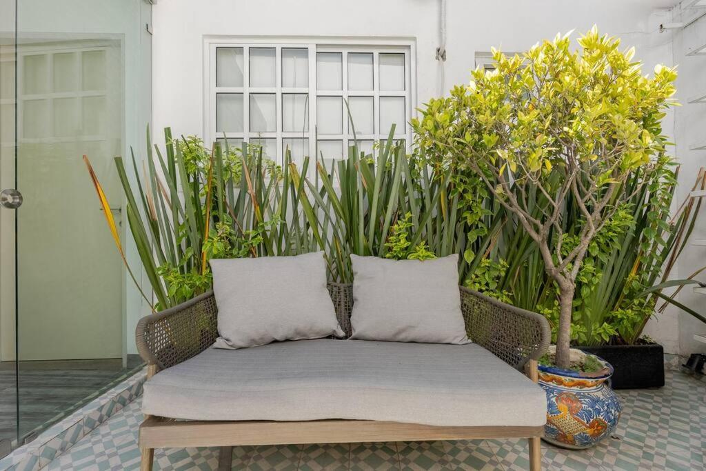 Lovely Loft Coyoacan Apartment Mexico City