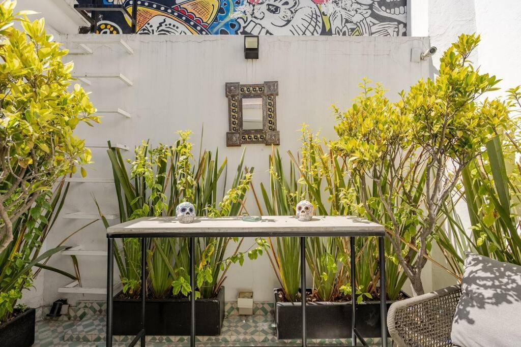 Lovely Loft Coyoacan * Mexico City