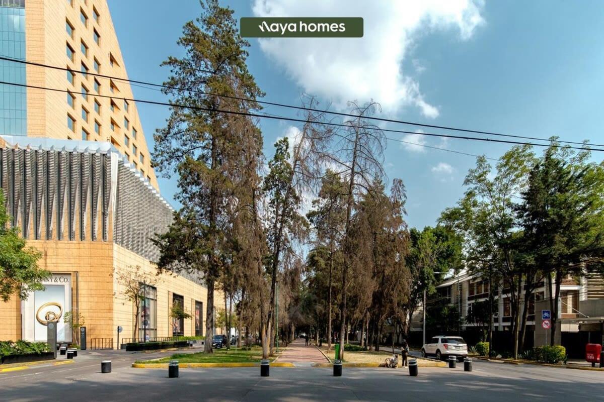 Apartamento Horacio 1411-203&204-cdmx