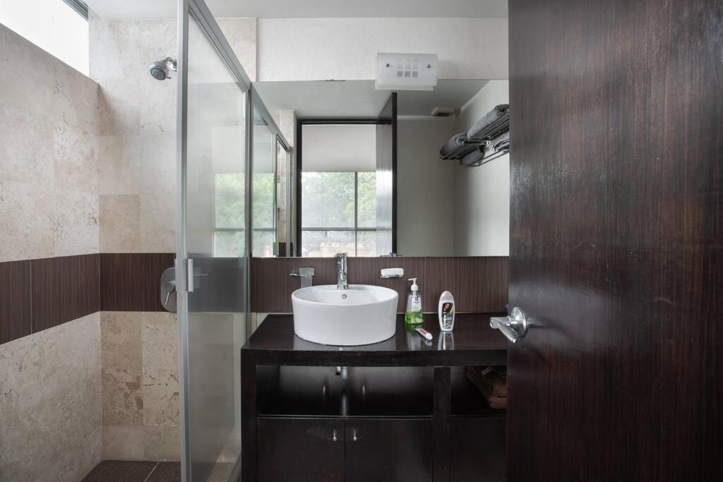 Penthouse Great View, Del Valle, Apartment Mexico City