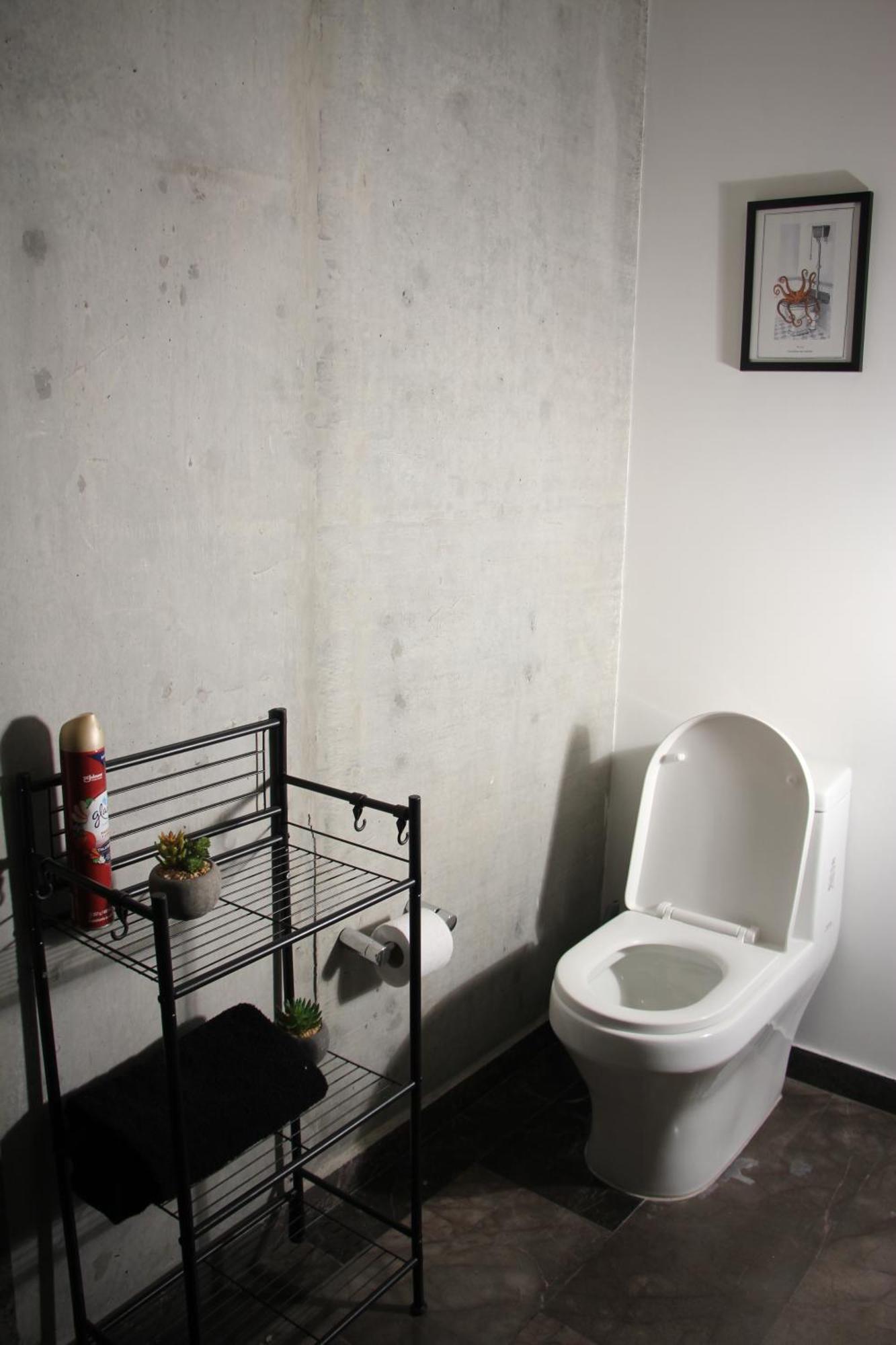 Apartamento Roma Vista Loft- Oasis En El Corazon De La Roma México DF