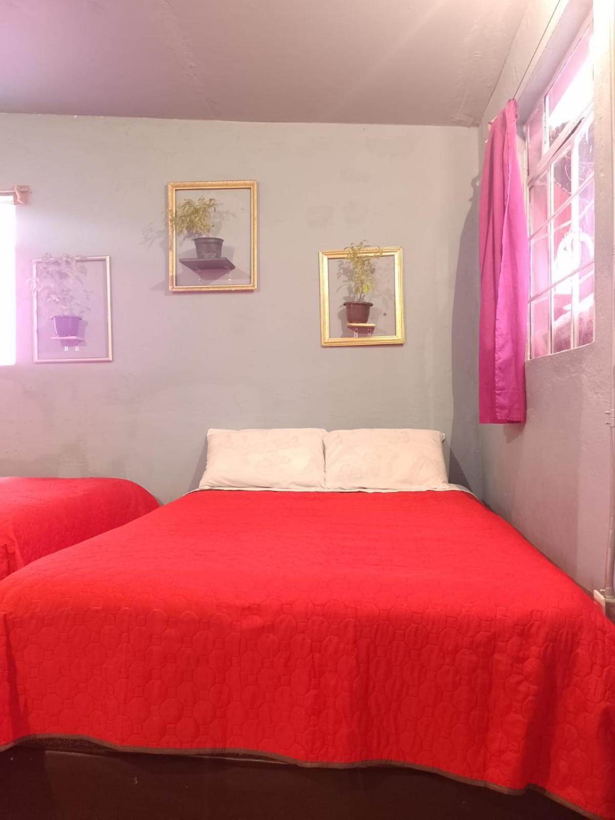 Guest house Alo