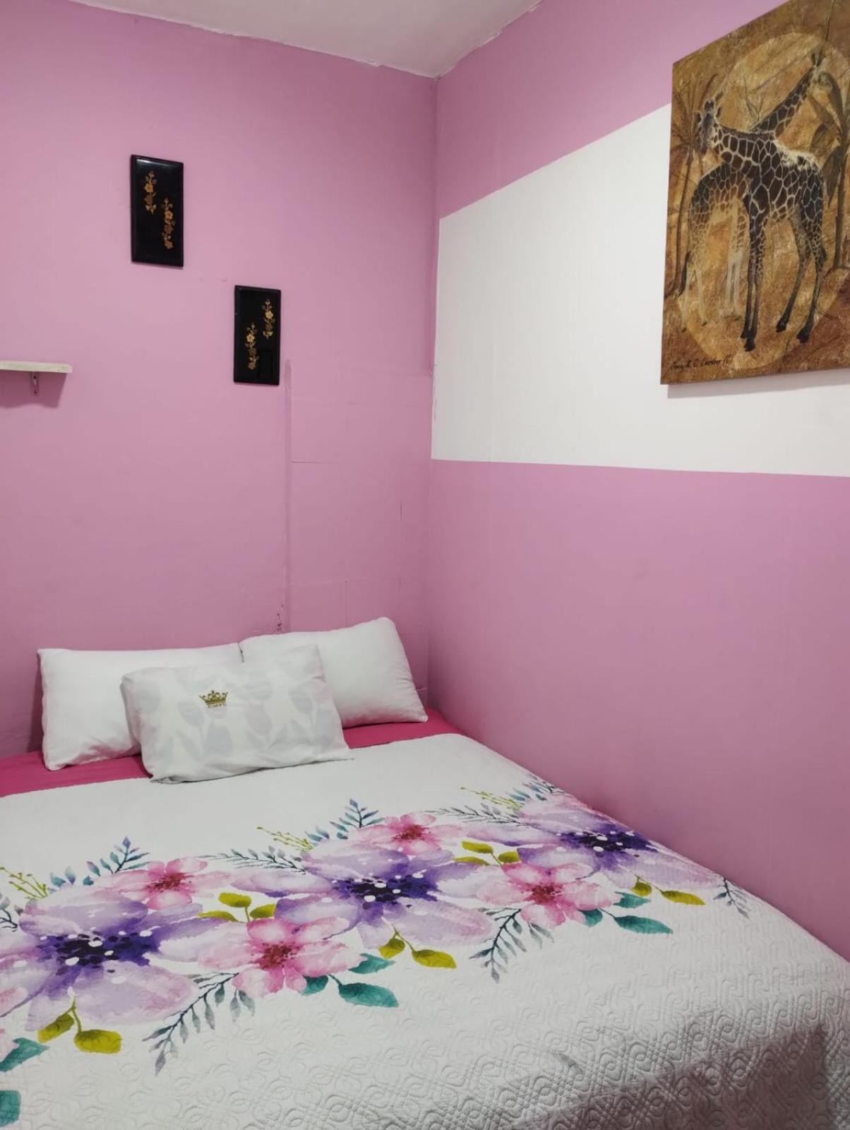 Guest house Alo