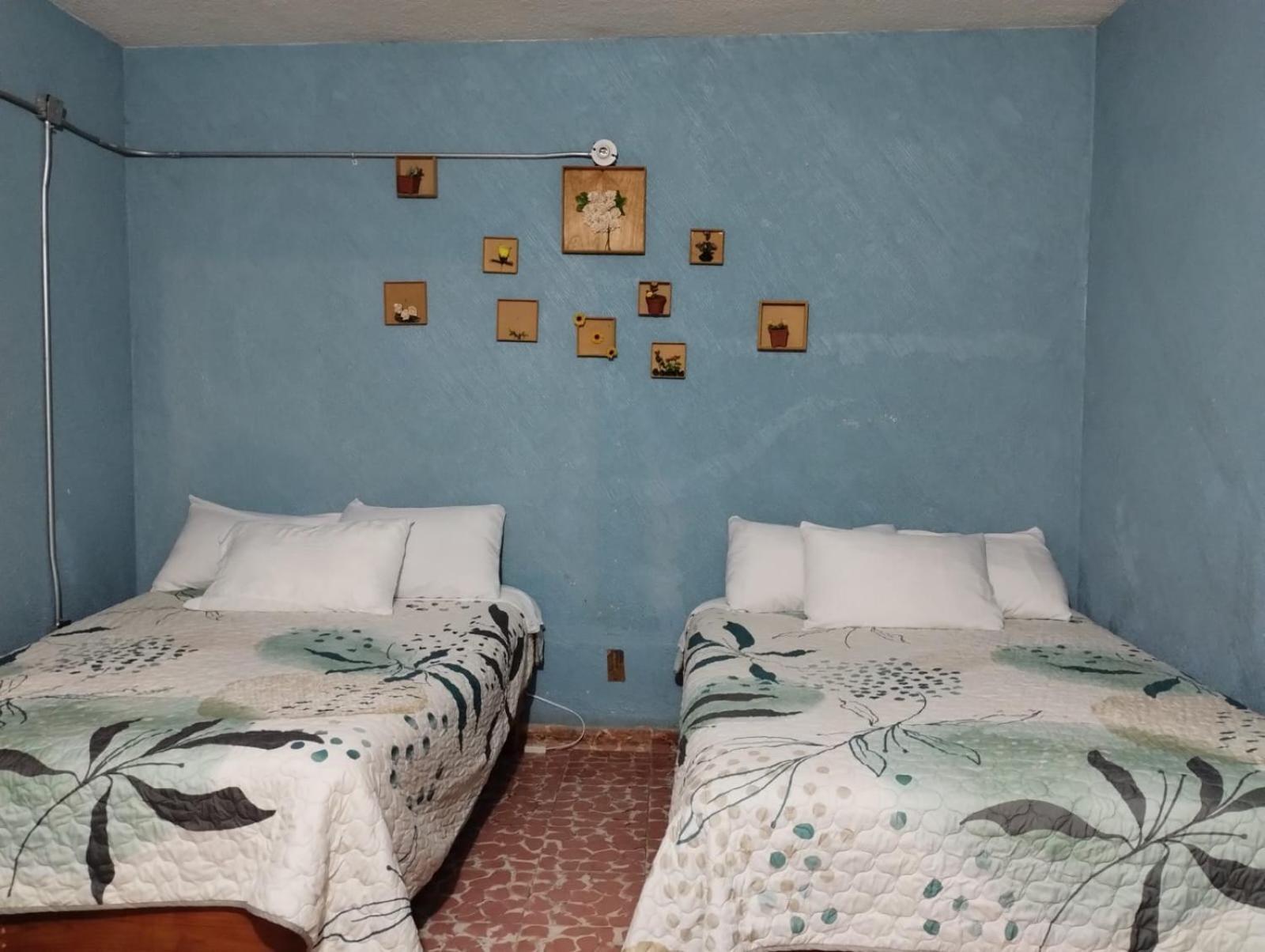 Guest house Alo Mexico City