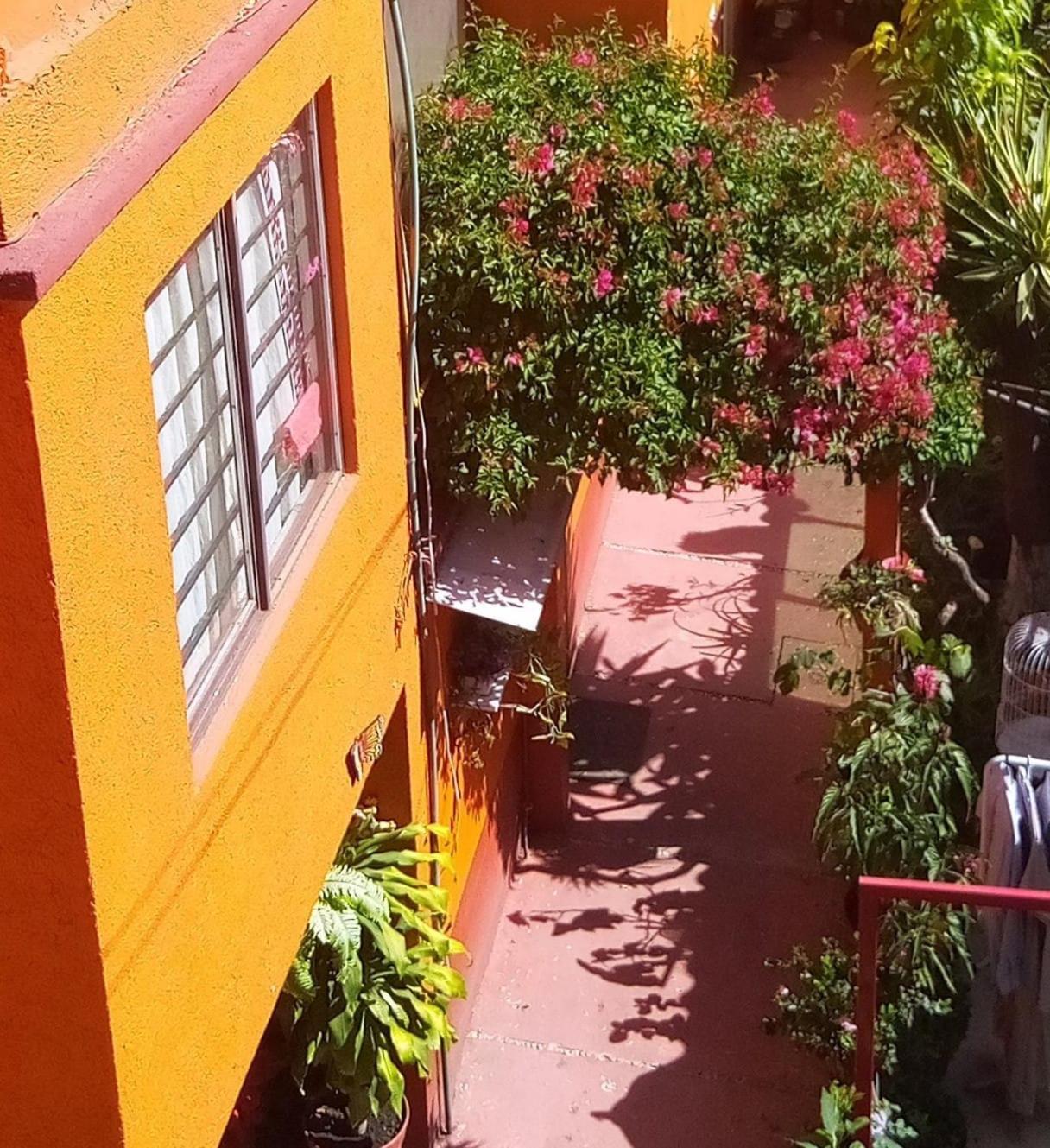 Apartamento Depa 2 Recamaras Coyoacán