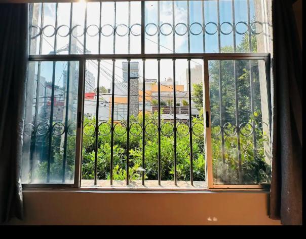 Casa Isolda Mexico City