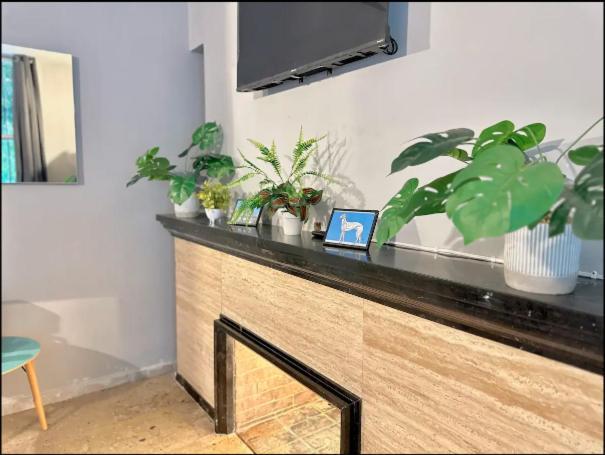 Casa Isolda Guest house Mexico City