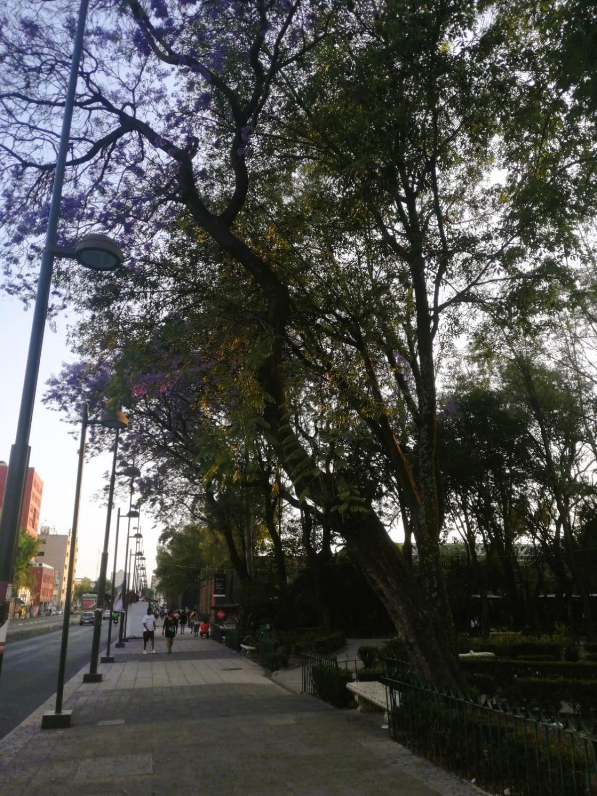 Lahun Apartamento México DF