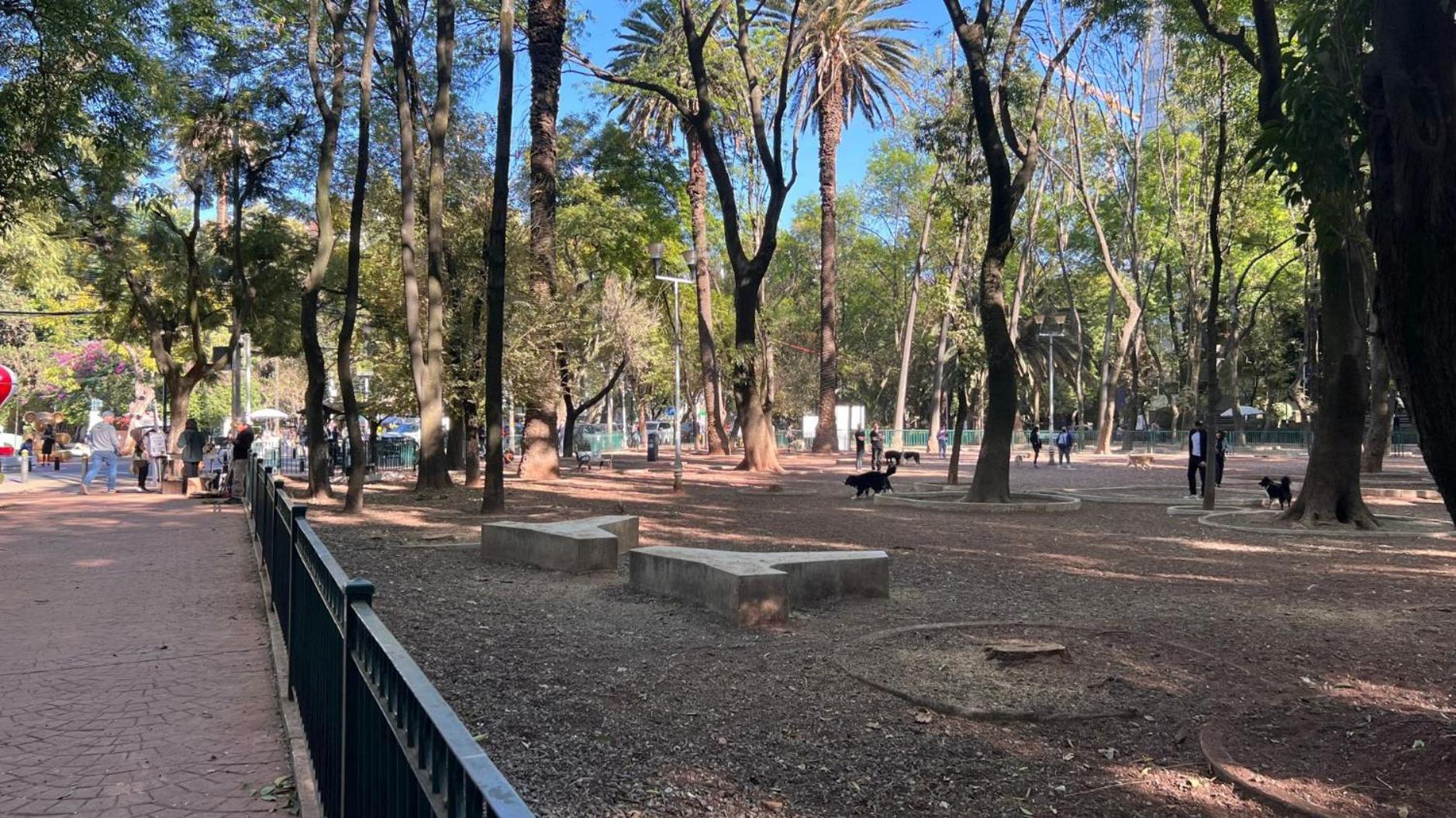 Condesa Campeche 3 Charm 2br 1ba With Expansive Living Space *